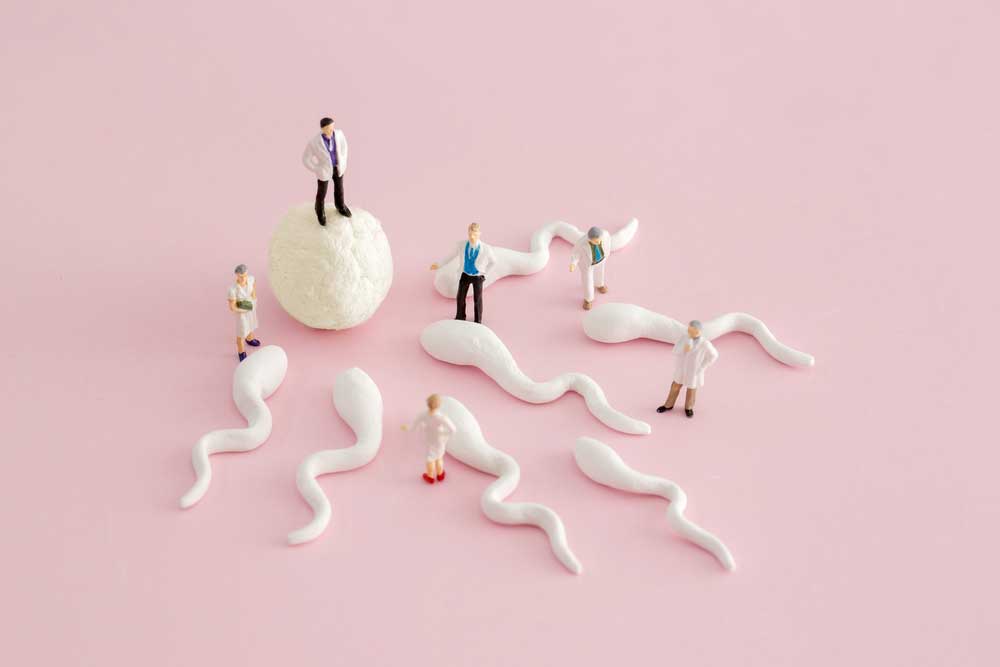 IVF-(in-vitro-fertilisation)